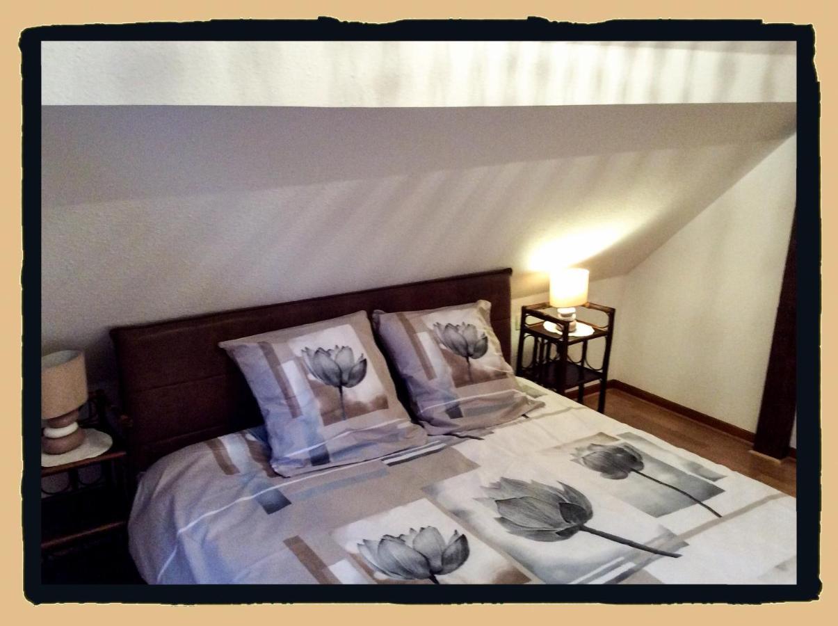 Residence Des Lentilles Шилтигхайм Екстериор снимка